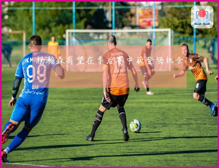 杨瀚森有望在季后赛中获登场机会！