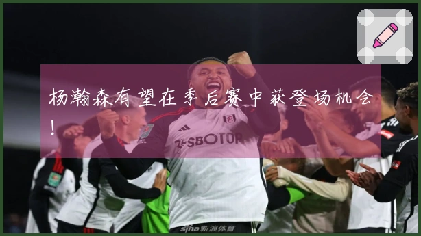 杨瀚森有望在季后赛中获登场机会！